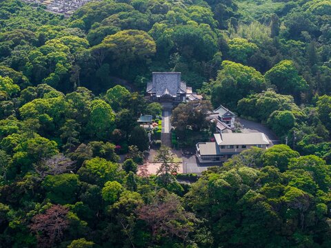 Aerial view of a traditional Japanese temple complex nestled within a lush green forest, featuring tiled roofs, stone pathways, and surrounding dense trees in Ito, Shizuoka, Japan.