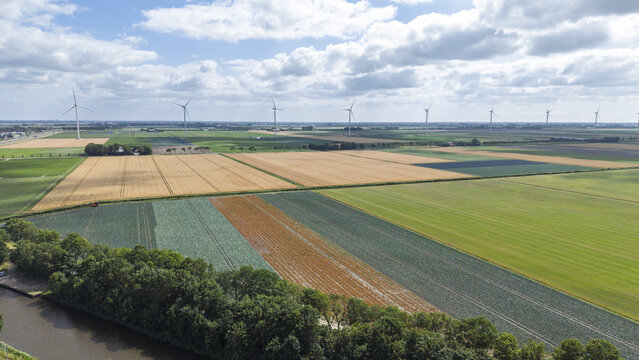 Aerial view of wind turbines standing in vast agricultural fields with rows of crops and a small canal in Middenmeer, North Holland, Netherlands.