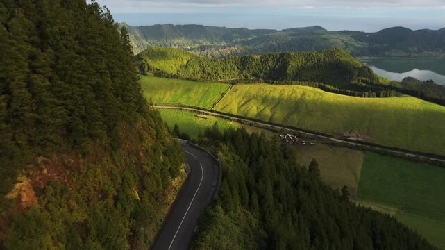 Aerial view of a winding road through lush green forests and hills overlooking a lake in Sete Cidades, Azores, Portugal.