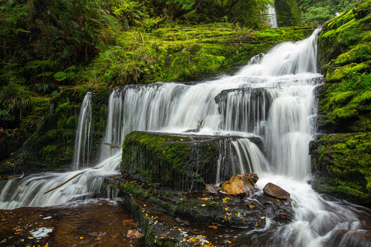 View of the cascading McLean Falls flowing over moss-covered rocks surrounded by lush green forest in Purakaunui, Otago Region, New Zealand.