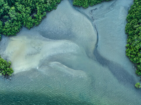 Aerial view of the lush mangroves and intricate sandbanks at Pontal da Barra do Mamanguape, Rio Tinto, State of Paraiba, Brazil.