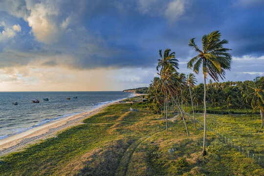 Aerial view of Penha Beach with lush palm trees along the sandy coastline, small fishing boats on the sea, and dramatic clouds at golden hour in Joao Pessoa, Paraiba, Brazil.
