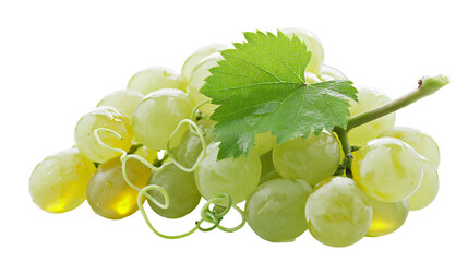 Green grapes with leaf and tendrils © darietta