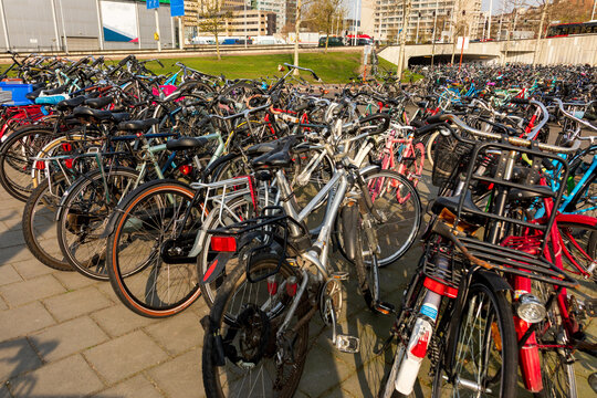 View of a large outdoor bicycle parking area filled with numerous parked bicycles on a paved surface in the Netherlands.