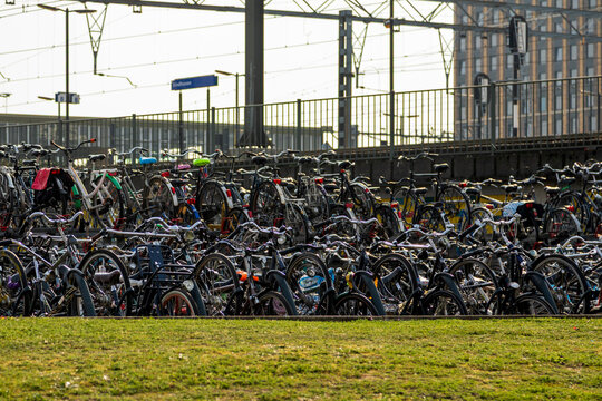 View of a large bicycle parking area filled with numerous bikes at a train station with overhead railway infrastructure in the background in the Netherlands.