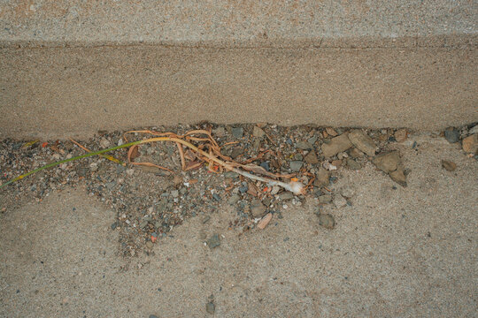 View of a dried plant stem lying on a gravelly surface next to a concrete step in Illes Balears, Spain.