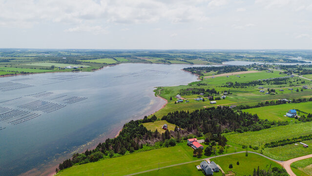 Aerial view of oyster farming lines in the coastal waters surrounded by green fields and forests in Prince Edward Island, Canada.