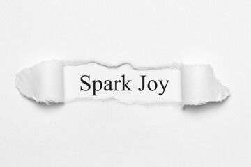 Obraz premium Spark Joy 