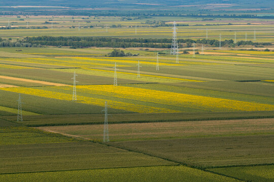 Aerial view of agricultural fields with rows of sunflowers and crops, interspersed with high-voltage power lines stretching across the landscape near Izbiste, Vrsac, Vojvodina, Serbia.