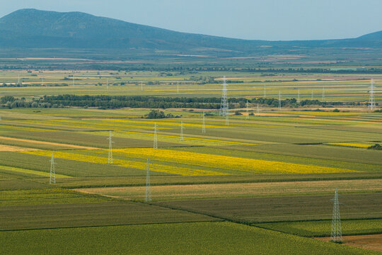 Aerial view of agricultural fields with rows of sunflowers and crops, interspersed with electricity pylons, stretching towards distant hills near Izbiste, Vrsac, Vojvodina, Serbia.