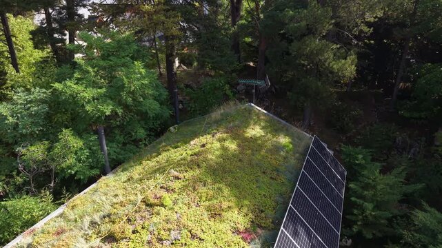 Aerial view looking down a dual-purpose eco roof combining lush sedum vegetation on one slope and solar panel array on the other, embedded within dense pine forest