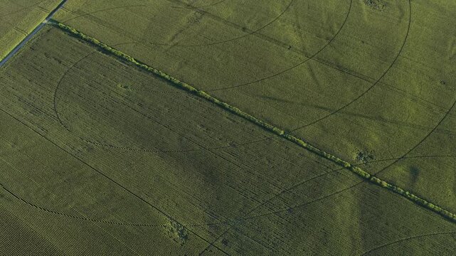 Aerial view of green agricultural fields with circular irrigation patterns and a straight path in Hombourg, Grand Est, France.