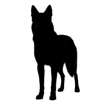Wolf Silhouette Transparent Background