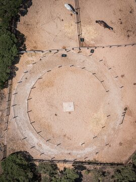 Aerial view of an equestrian training ring with a white horse and a brown horse in a sandy paddock in Cascais, Lisbon, Portugal.