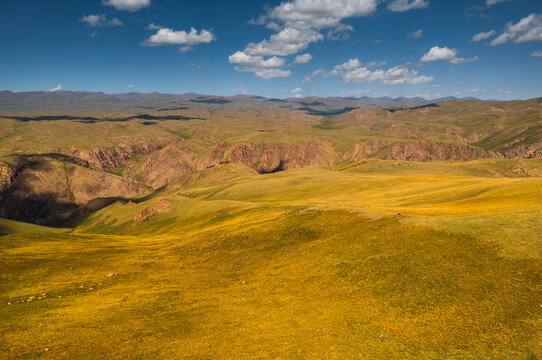 Aerial view of the vast rolling landscape of Song-Kul with golden meadows and green hills under a blue sky in Naryn Region, Kyrgyzstan.