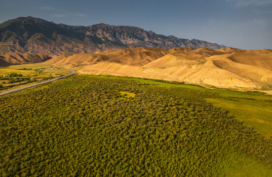 Aerial view of the rolling hills and lush green fields near a winding road in the Naryn Region, with a majestic mountain range in the background in Naryn, Naryn Region, Kyrgyzstan.