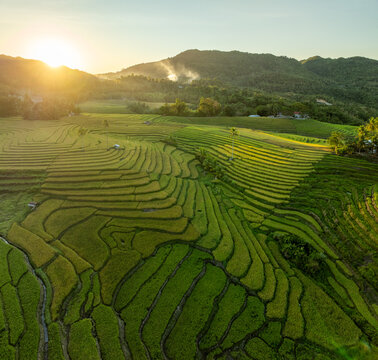 Aerial view of lush green terraced rice fields illuminated by golden sunrise light in Bohol, Philippines.
