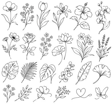Hand drawn botanical line art flowers and leaves set vector illustration