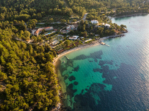 Aerial view of the coastline of Thasos featuring a sandy beach with turquoise waters, surrounded by dense pine forests and resort buildings in Thasos, Greece.
