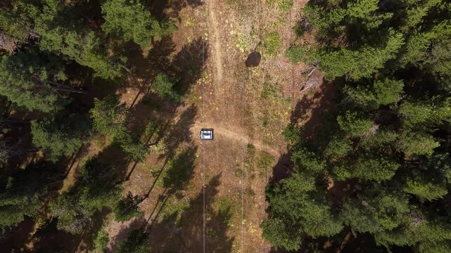 Overhead view of chairlift cable with empty chairs suspended above a dirt access trail cutting through dense pine forest at La Molina, Catalan Pyrenees, Spain, summer off-season