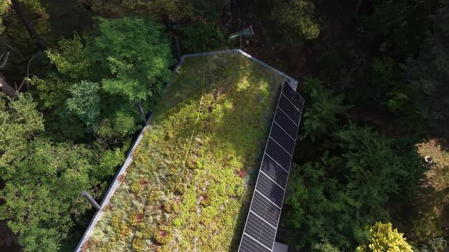 Overhead view of an eco-friendly home featuring a lush sedum and grass living roof combined with photovoltaic solar panel array, surrounded by dense pine and deciduous forest canopy