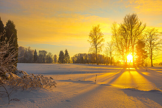 View of a snow-covered field with bare trees silhouetted against a vibrant golden sunrise in Latvia.