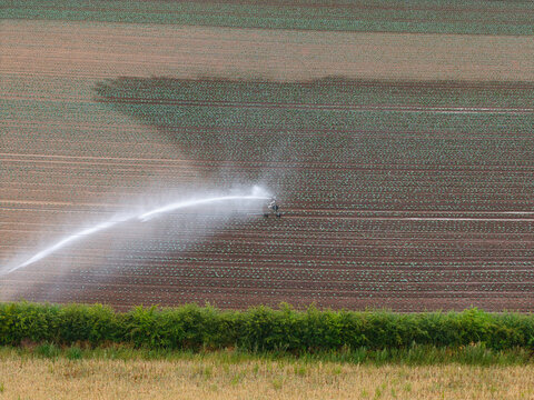 Aerial view of a mechanical irrigation system spraying water over dry agricultural fields with rows of crops and a green hedge in Mansfield, England, United Kingdom.