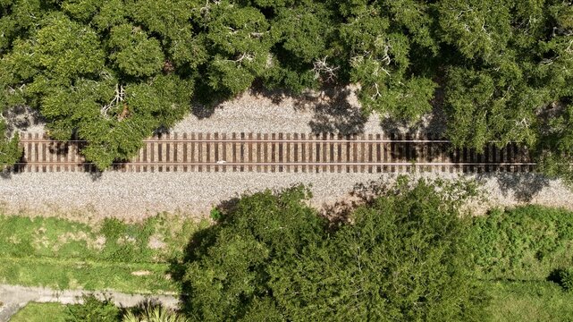 Aerial view of railroad tracks passing through the dense forest of Ravine Gardens State Park, Palatka, Florida, United States.