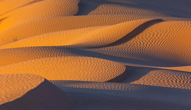 View of the rippled sand dunes of the Sahara Desert during golden hour in Douz, Kebili Governorate, Tunisia.