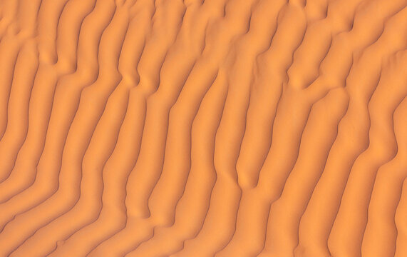 View of the undulating orange sand dunes of the Sahara Desert in Douz, Kebili Governorate, Tunisia.