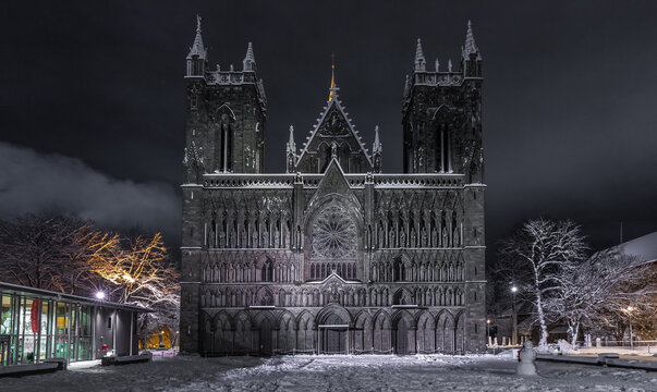 View of Nidaros Cathedral illuminated at night during winter with snow-covered ground and trees in Trondheim, Trondelag, Norway.