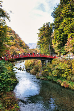 Nikko, Tochigi, Japan - 02 November 2025: View of the iconic red Shinkyo Bridge spanning the Daiya River, surrounded by vibrant autumn foliage and lush forest in Nikko.