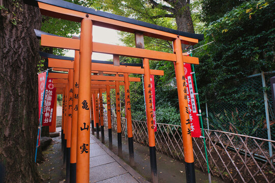 Tokyo, Japan - 01 November 2025: View of a series of vibrant orange torii gates lining a stone path at a Shinto shrine, surrounded by lush green trees and traditional red banners.