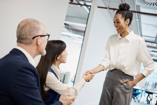 Smiling businesswoman shakes hands during an office interview