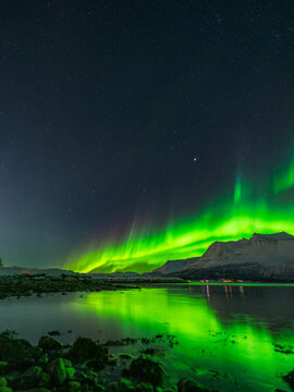 View of the vibrant green northern lights reflecting on the calm waters of a fjord with snow-capped mountains in the background in Tromso, Troms, Norway.