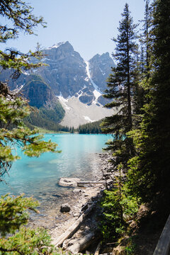 View of the turquoise waters of Moraine Lake framed by pine trees with the snow-capped Valley of the Ten Peaks in the background in Improvement District No. 9, Alberta, Canada.