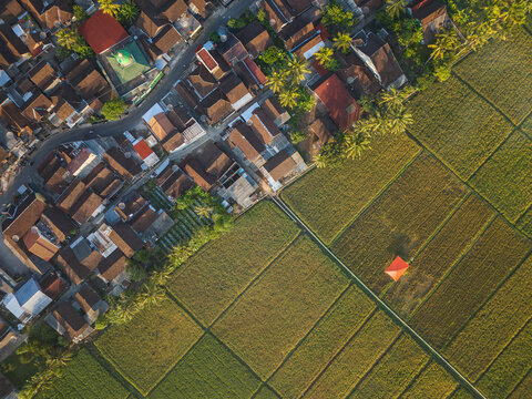 Aerial view of Sraten Enam village with dense residential rooftops adjacent to vibrant green rice paddies under warm golden hour light in Tuntang, Central Java, Indonesia.