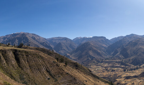 View of the vast Colca Canyon with its rugged mountain peaks, deep valleys, and terraced hillsides under a clear blue sky in Arequipa, Arequipa, Peru.