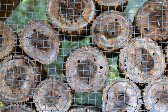 Stacked natural wood logs behind wire mesh with insect nesting holes, creating a rustic texture and habitat concept for biodiversity, wildlife conservation, sustainable gardening and ecology.