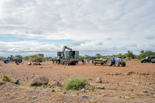 Kajiado County, Kenya - 29 May 2023: View of wildlife rangers logistics team and trucks preparing to transfer a sedated Elephant in Amboseli, Kenya.
