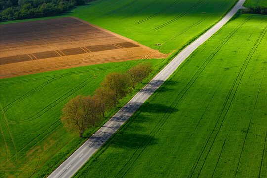 Aerial view of a road cutting through vibrant green fields and a patch of brown soil, lined with a row of trees casting long shadows in Kunkovice, Zlin Region, Czechia.