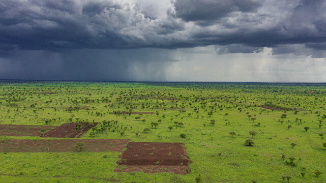 Aerial view of the vast green landscape with scattered trees and patches of tilled soil under a dramatic dark stormy sky with rain showers in Kapelebyong, Eastern Region, Uganda.