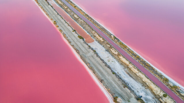 Aerial view of pink salt ponds in the Camargue region separated by parallel service roads and dikes in France.