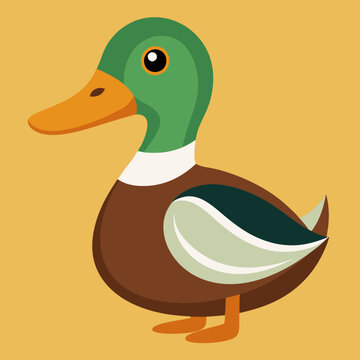 Illustration des canards sur l&rsquo;eau
