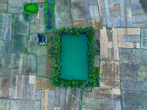 Aerial view of a rectangular pond surrounded by lush green trees, set amidst a patchwork of agricultural fields in Kushtia, Khulna Division, Bangladesh.