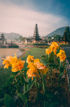View of the iconic Ulun Danu Beratan Temple with vibrant yellow canna flowers in the foreground and tiered pagodas near the lake in Baturiti, Bali, Indonesia.