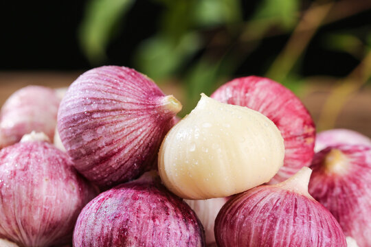 Fresh Purple Garlic Bulbs with Peeled Clove - Premium Quality Chinese Yunnan Shandong Variety