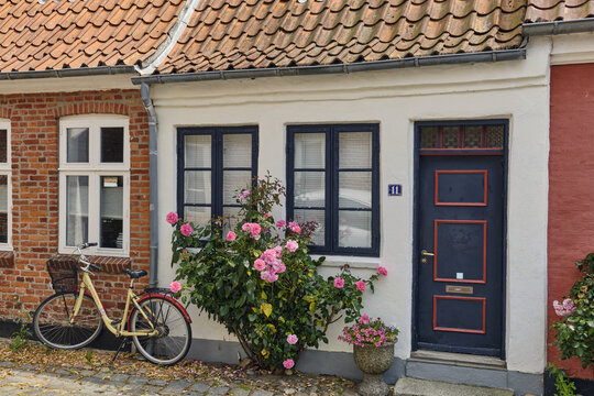 View of a charming historic house with a dark blue door, a bicycle parked in front, and a blooming rose bush in the old town of Ribe, Syddanmark, Denmark.