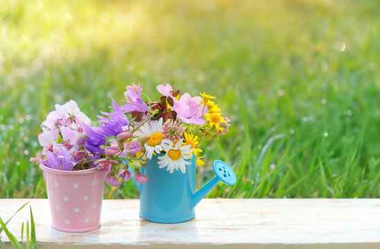 miniature bucket and watering can with wild flowers outdoor, natural background. Beautiful floral decor in garden. romantic relax atmosphere. spring or summer blossom season. template for design