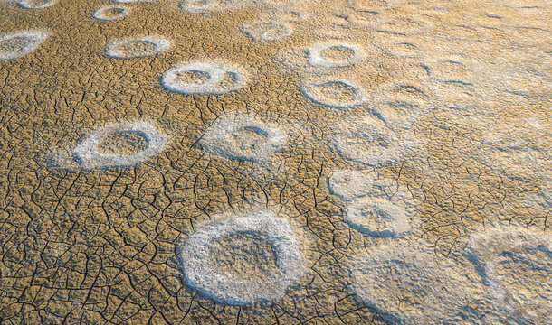 Aerial view of cracked earth with circular salt crystal formations under warm golden light, France.